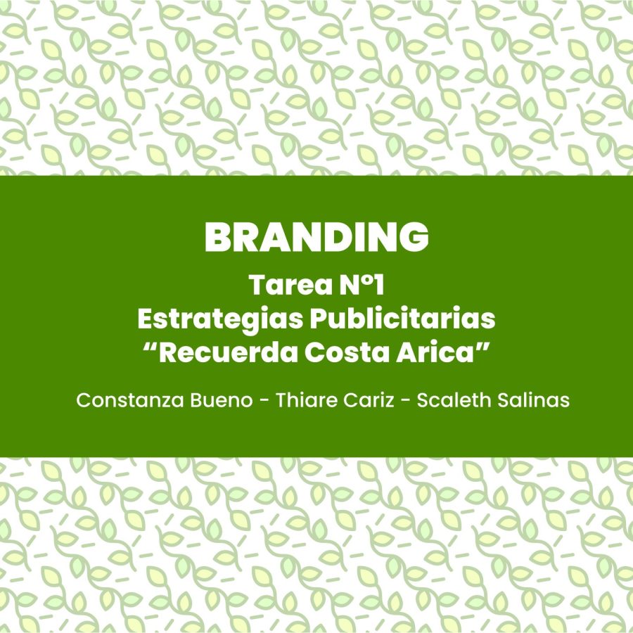 S2_Cariz-Bueno-Salinas